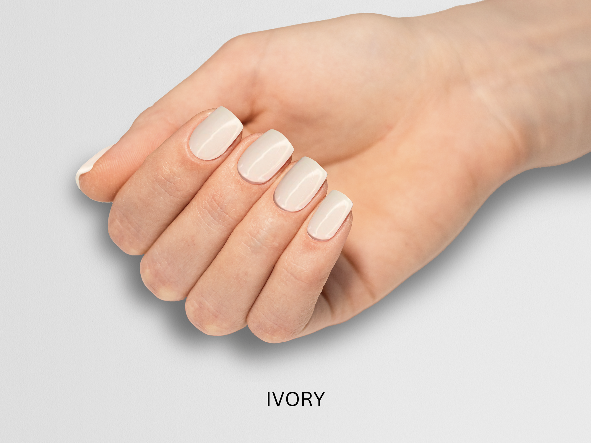 ivory